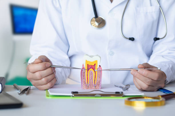Best Emergency Root Canal Treatment in Duvall, WA